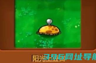 杂交直装版手机下载-杂交直装版v3.1.3