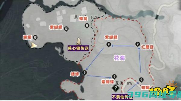善全路线图善62只
