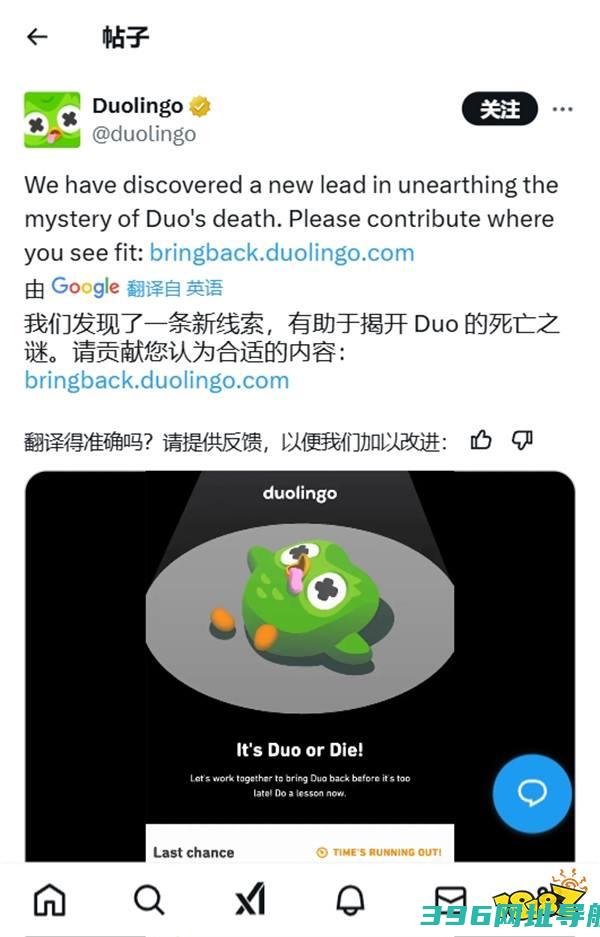 真能复活吗？多邻国求助全球用户助力复活猫头鹰