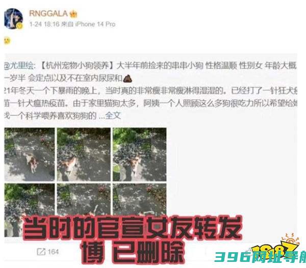电竞圈突发：GALA与学霸女友分手引热议，职业赛场能否迎来“无牵挂”巅峰？